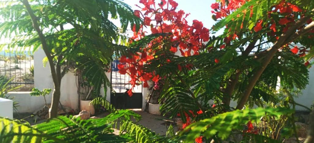 Cytyz Appart Hotel Mahajanga Ngoại thất bức ảnh